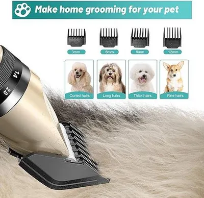 Image de Tondeuses électriques pour animaux, tondeuses professionnelles pour chiens et chats