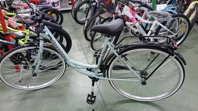 Image de BICI VENERE 26 pouces, couleur vert "CIGNO"