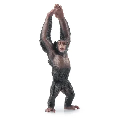 Produktbild von Toymany ML00435 Schimpansen 11,4 cm Wildtiere