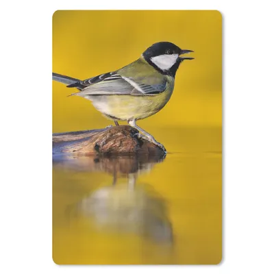 Produktbild von MuchoWow® Mauspad Mousepad Kohlmeise - Vogel - Wasser 40x60 cm - Mousepads - Maus Mat - Pad - Mausunterlage - Schreibtisch Accesoire