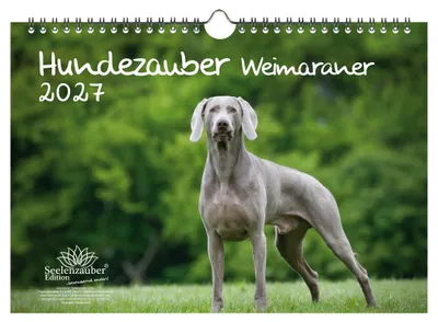 Produktbild von Hundezauber Weimaraner DIN A4 Kalender für 2027 Welpen und Hunde