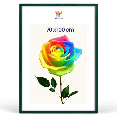 Produktbild von MG Design Bilderrahmen Grün 70x100 cm - Posterrahmen Echtholz mit Acrylglas, verstärkte Wandaufhängung, hoch/quer