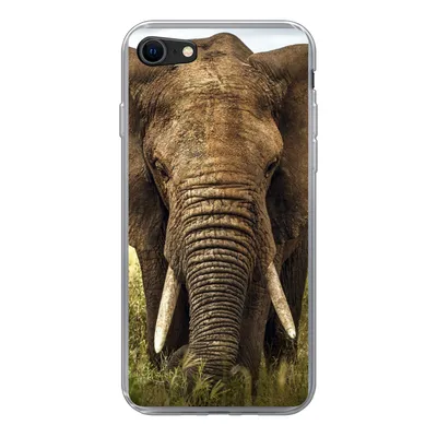 Produktbild von MuchoWow® Handyhülle Schutzhülle Hülle für iPhone SE 2020 Elefant - Gras - Tiere - Natur Silikon Softcase Handy Hülle - Kartenbesitzer