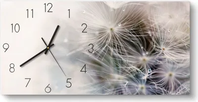 Produktbild von DEQORI Glasuhr 60x30 cm Zahlen 'Detailaufnahme Pusteblume' Wanduhr Glas Uhr Design leise