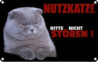 Produktbild von vianmo Blechschild 12x18 cm Nutzkatze bitte nicht stören schwarz Tier Haustier Katze