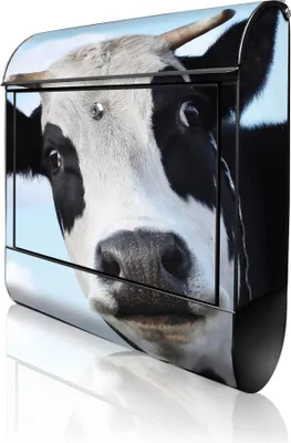 Zdjęcie produktu dla banjado Design Skrzynka pocztowa stalowa czarna z przegródką na gazety, malowana proszkowo „Muh” 38 x 46 x 12,5 cm i 2 klucze – skrzynka pocztowa A4 z otworem na listy, wraz z materiałami montażowymi [BK 10104]