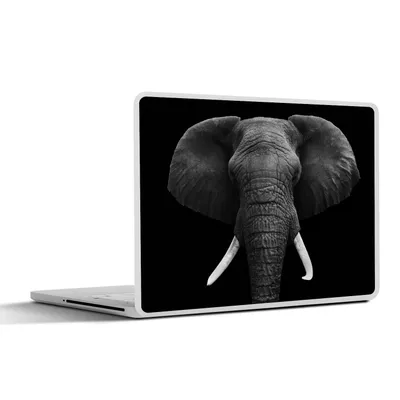 Produktbild von MuchoWow® Laptop Aufkleber Sticker Cover Elefant - Wildtiere - Schwarz - Weiß - Porträt 25x18 cm - Laptop-Deko