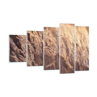 Produktbild von Bilder auf glas - 5 Teile - Boho Ähren Feld - 100x60cm - Glasbilder - Wandbilder - Bilder - zum Aufhängen bereit - Wanddekoration aus Glas - Glas Bilder - Wandbild auf Glas - GEG100x60-4838