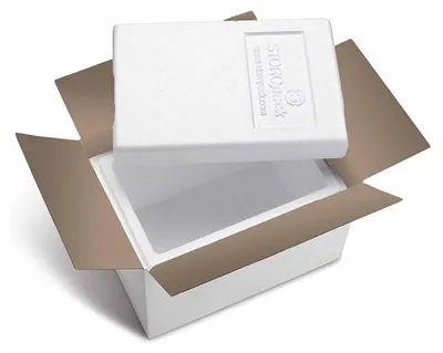 Produktbild von 24x Isolierboxen mit Deckel aus rEPS 330 x 225 x 225 mm 7,3 Liter inkl. Umkarton