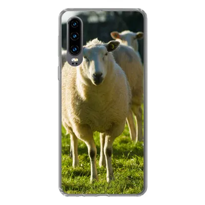 Produktbild von MuchoWow® Handyhülle Schutzhülle Hülle für Huawei P30 Schafe - Tiere - Wolle Silikon Softcase Handy Hülle - Kartenbesitzer