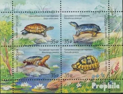 Produktbild von Briefmarken Russland 2017 Mi Block241 (kompl.Ausg.) postfrisch Einheimische Fauna