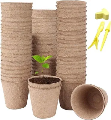 Produktbild von Famanu Anzuchttöpfe biologisch abbaubar - 100 Stück