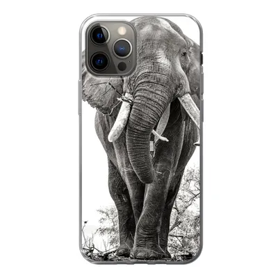Produktbild von MuchoWow® Handyhülle Schutzhülle Hülle für iPhone 12 Pro Elefant - Porträt - Tiere - Schwarz und weiß Silikon Softcase Handy Hülle - Abdeckung