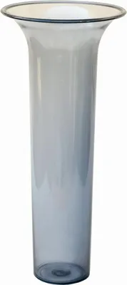 A tall, slender glass vase with a flared rim, shown against a white background.