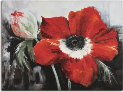 Produktbild von ARTland Leinwandbild Mohnblumen in voller Blüte Größe: 60x45 cm
