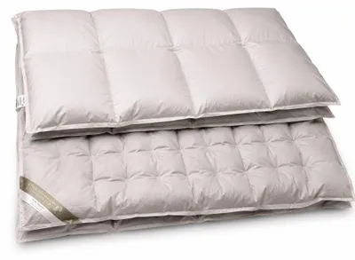 Produktbild von Franken Combi Vierjahreszeiten Daunenbett Daunendecke 135x200 cm 100 % Daunen