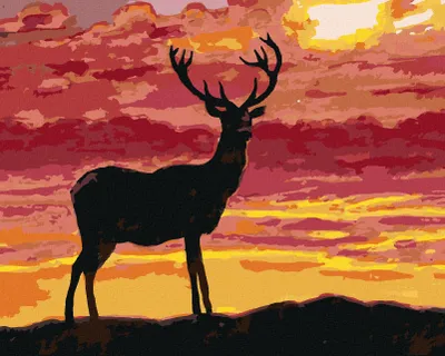 Produktbild von Zuty - Malen nach Zahlen - HIRSCH UND SONNENUNTERGANG, 40x50 cm, mit Keilrahmen (bereits gespannt)