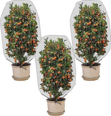 Obrázek produktu pro Ochranná síť pro rostliny - 3 kusy, rozměry 1,5 x 1 metr