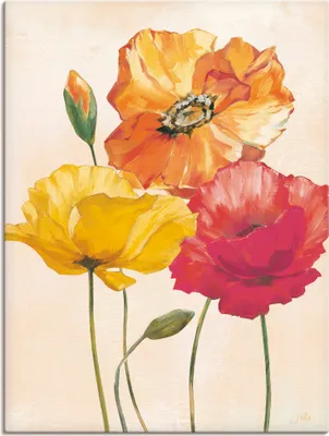 Produktbild von ARTland Leinwandbild Bunte Mohnblumen I Größe: 60x80 cm