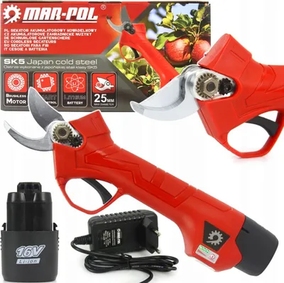 A product shot of electric pruning shears with its accessories and packaging.