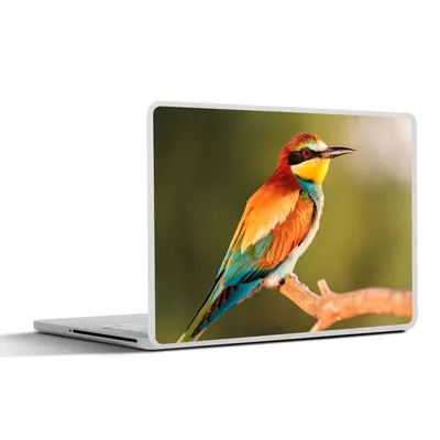 Produktbild von MuchoWow® Laptop Aufkleber Sticker Cover Vögel - Bienenfresser - Regenbogen - Tiere 30x22 cm - Laptop-Sticker