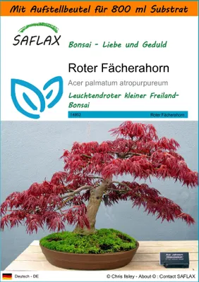 Produktbild von SAFLAX Garden in the bag - Roter Fächerahorn - Acer palmatum atropurpureum - 20 Samen - Mit Anzuchtsubstrat im praktischen, selbst aufstellenden Beutel