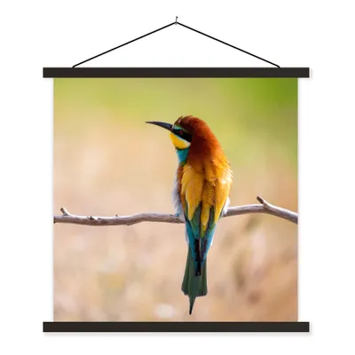 Produktbild von MuchoWow® Textilposter Vögel - Bienenfresser - Tiere 90x90 cm mit schwarzem Rahmen - Magnetisches