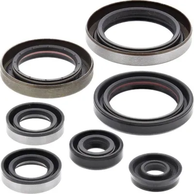 Immagine prodotto di Set di fasce elastiche motore WINDEROSA W822186
