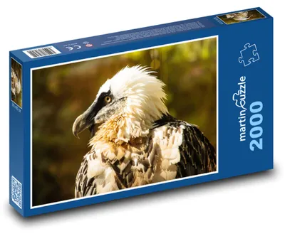 Zdjęcie produktu dla Puzzle 2000 Orłosęp - Ptaka - martinpuzzle