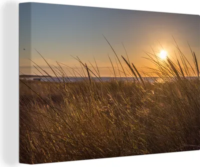 Produktbild von OneMillionCanvasses® - Leinwandbilder - 150x100 cm, Ostsee - Schilf - Sonnenuntergang, Wandbilder Kunstdruck Wanddekoration