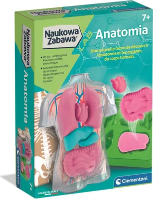Obrázok produktu pre Clementoni Naukowa Zabawa Anatomia Zestaw do budowy organów