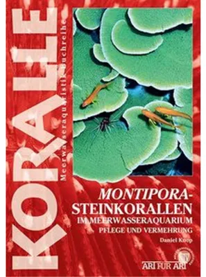 Obrázek produktu pro Montipora-Steinkorallen im Meerwasseraquarium