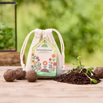 Image de Boules de graines de tournesol dans des petits sacs en coton – boules de graines faites à la main avec des graines de grande qualité – respectueuses des abeilles et durables