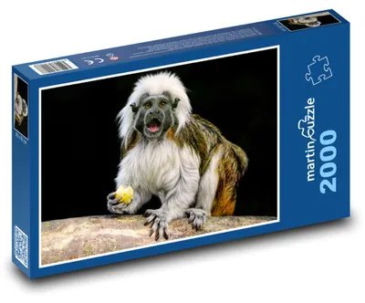 Zdjęcie produktu dla martinpuzzle - Puzzle 2000 - Tamaryny