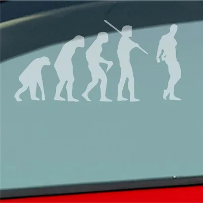 Produktbild von Auto Aufkleber Evolution Fitness Sport Bodybuilding 15x7,5 cm Milchglas Sticker Heckscheibenaufkleber
