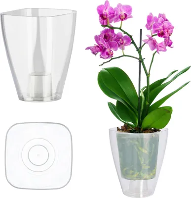 Obrázok produktu pre Kvetináč na orchidey – Kvetináč na orchidey – Plastový – Malý – Biely