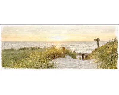 Produktbild von Glasbild Beach View, Sandpfad durch hohes Gras zum Meer, 125x50 cm, Querformat