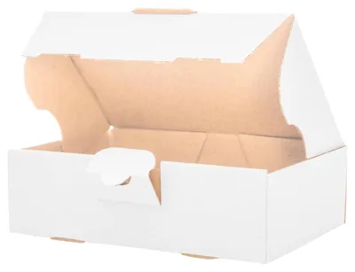 Obrázek produktu pro 100 kusů velkých poštovních schránek, rozměry 160 x 110 x 50 mm, barva bílá