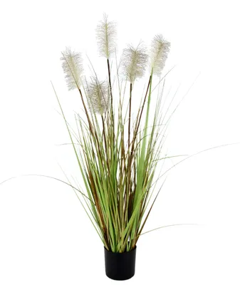 Produktbild von Pampas Gras im Topf Feder-Gras Ufergras Seidenblumen Grasbusch Dekogras Gras Kun