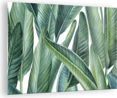 Produktbild von Bilder auf glas - Einteilig - Exotisch Blätter Grün - 70x50cm - Glasbilder - Wandbilder - Bilder - zum Aufhängen bereit - Wanddekoration aus Glas - Glas Bilder - Wandbild auf Glas - GAA70x50-4258