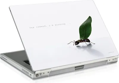 Produktbild von Speed-Link Lares, 29,46 cm (11.6"), Abdeckung, Weiß, 28 cm, 21 cm