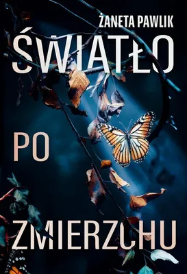Immagine prodotto di Światło po zmierzchu