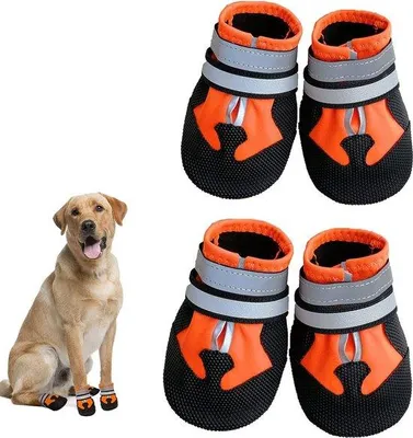 Immagine prodotto di Famanu: Scarpe da ginnastica per bambini - Protezione per i piedi con suola antiscivolo