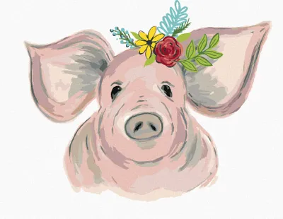 Produktbild von Zuty - Malen nach Zahlen - SCHWEIN MIT BLUMEN (HALEY BUSCH), 40x50 cm, ohne Keilrahmen