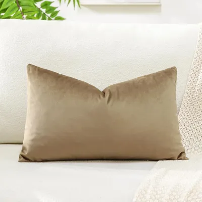 Produktbild von Samtkissenbezug, Dekokissen, Sofakissen, Lendenkissen, dekorativer Kissenbezug, Sofa, Schlafzimmer, 40 x 60 cm, goldbraun