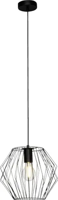 Produktbild von Hängelampe, kürzbar, 100 cm Höhe, Ø 28 cm, E27, max. 60 W, Metall