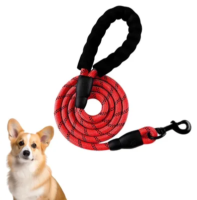 Produktbild von Hundeleine Nylon 1.5m, Robuste Hundeseil Mit Polstergriff, Reflektierend Fur Kleine Mittlere Und Große Hunde, Sicher Und Bequem