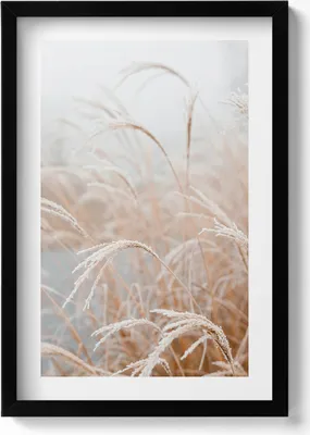 Produktbild von Zarte Gräser im Boho-Stil– Wandbild mit Rahmen – Gerahmtes Bild  – Wanddekoration – 40x60 cm –  Schwarz
