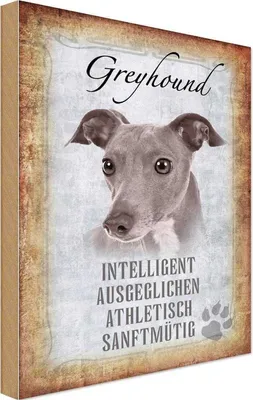 Produktbild von vianmo Holzschild 30x20 cm Greyhound Hund Tier Haustier