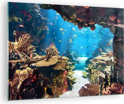 Produktbild von Bilder auf glas - Ozean Riff Fische Koralle - 70x50cm - Glasbilder - Wandbilder - Kunstdruck - zum Aufhängen bereit - Wanddekoration aus Glas - Glas Bilder - Wandbild auf Glas - GAA70x50-2872